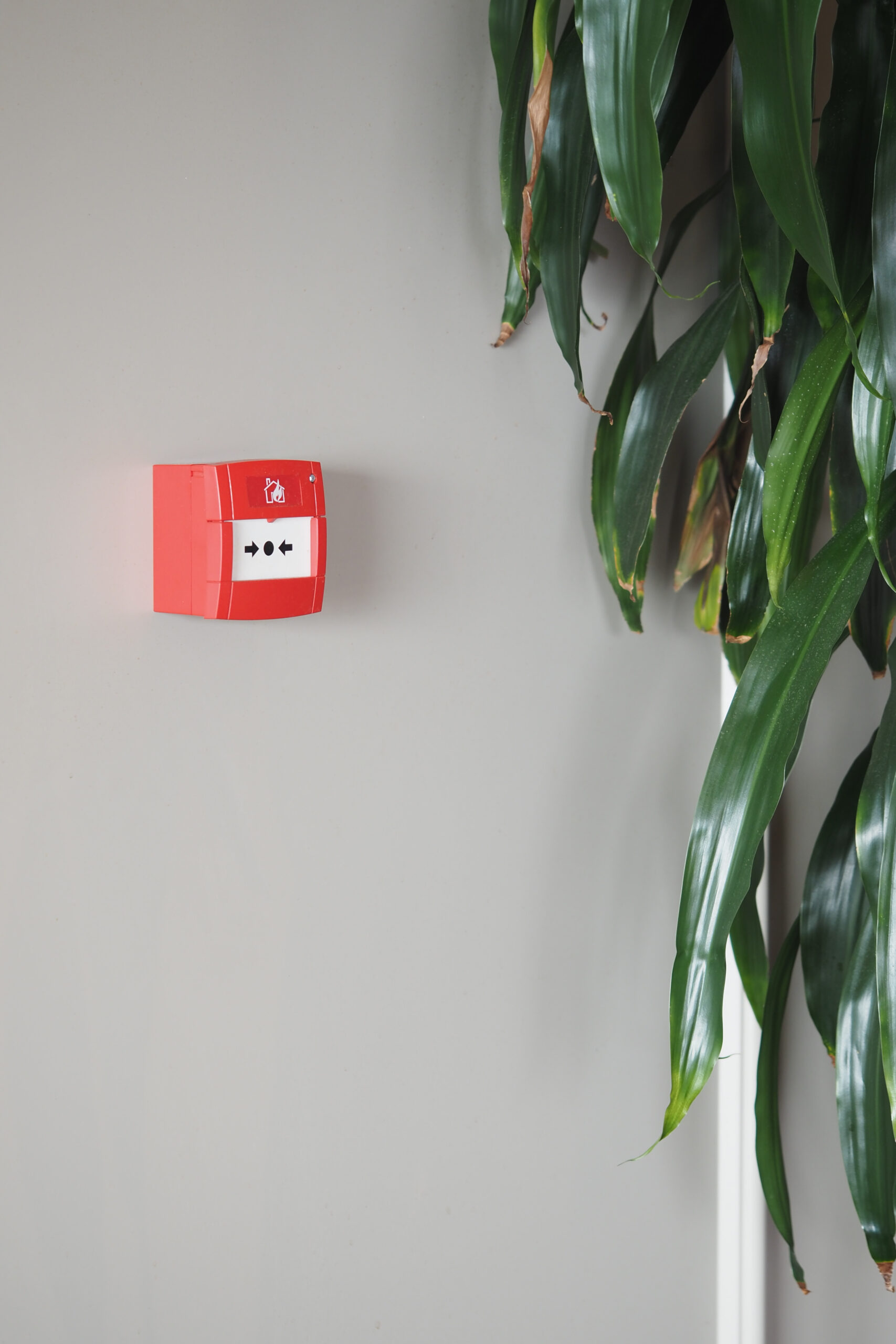Red fire alarm box on gray wall next to green plant